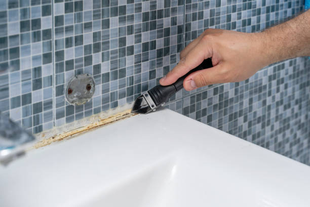 Somers, MT Mold Remediation Company